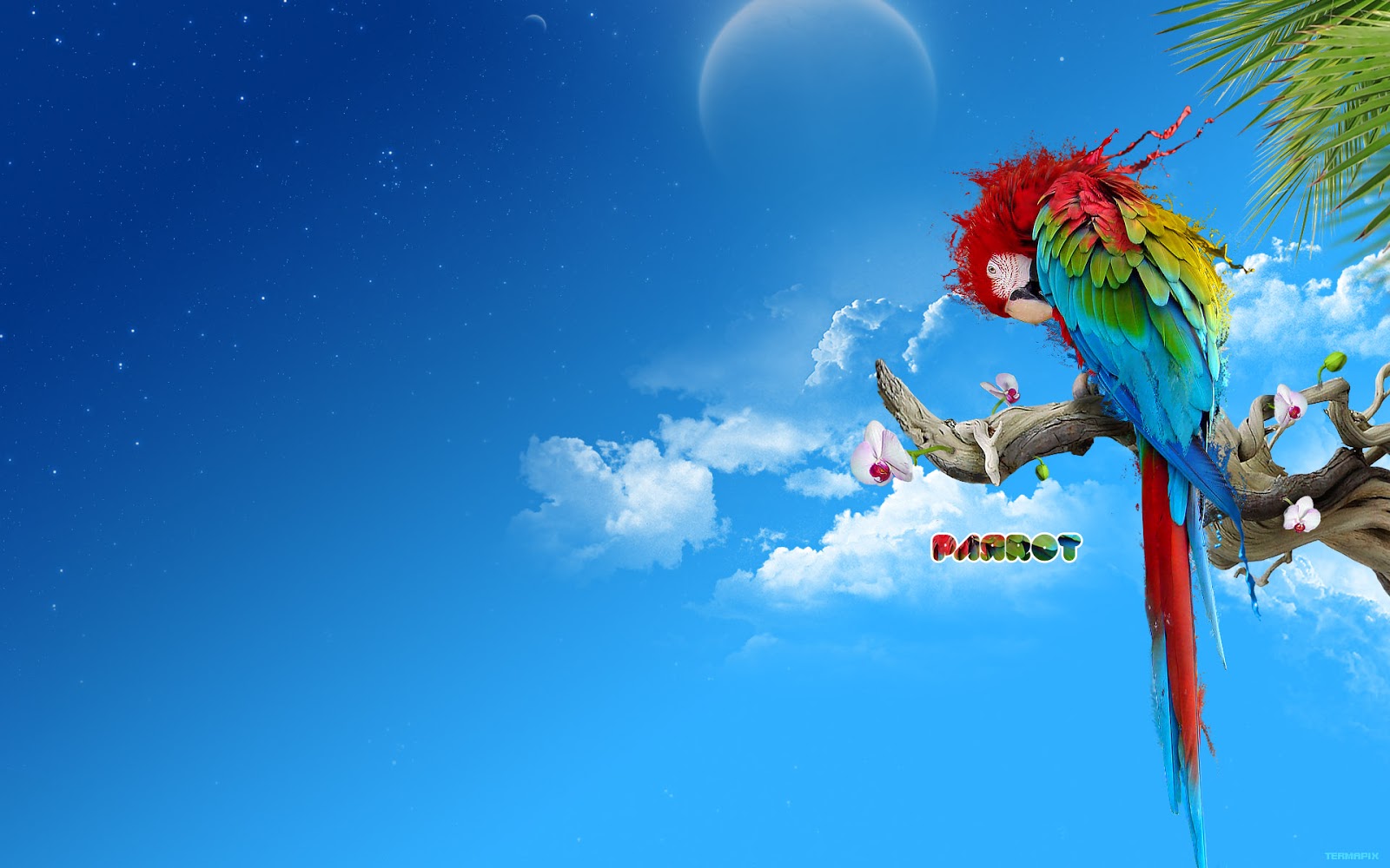 hd shootz hd wallpapers