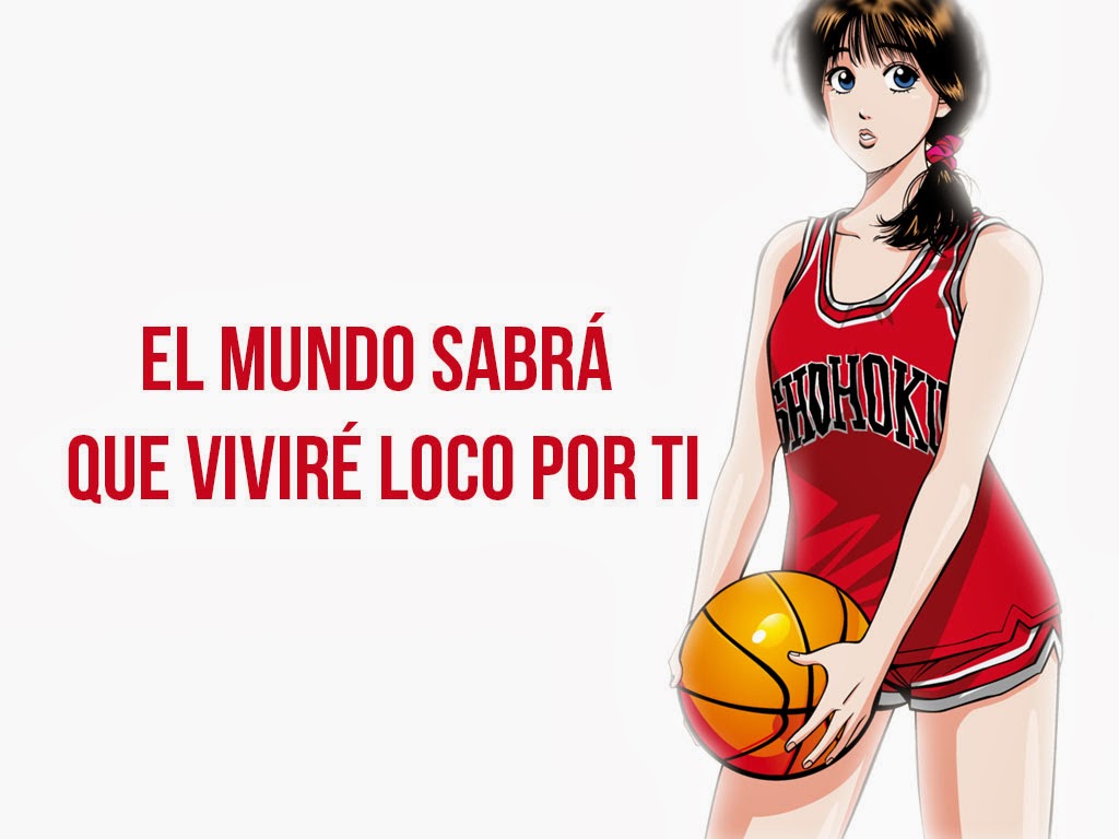 ImageBook Slam Dunk Crazy for you