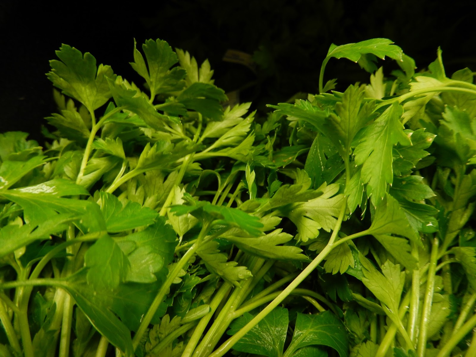 Reflections Past, Present, and Future with God