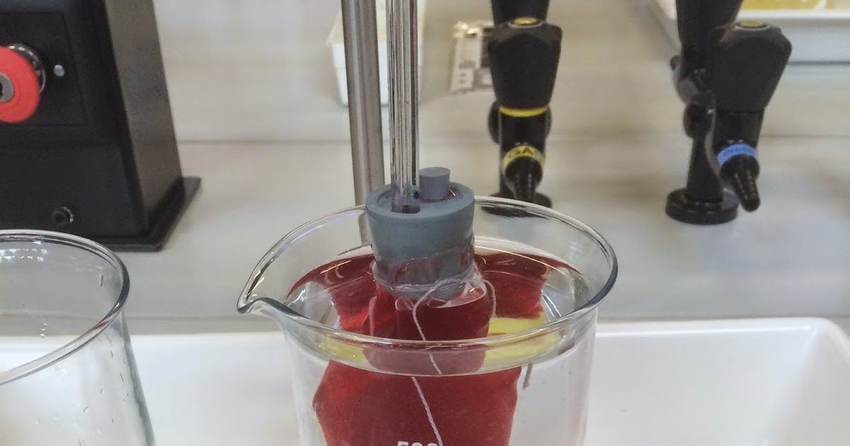 BIOPraktikum zu Osmose und Diffusion Beobachtung Osmose mit