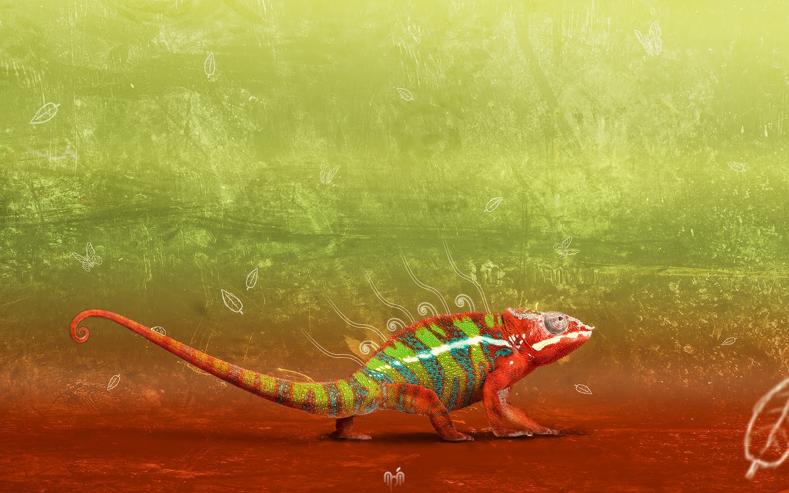 http://3.bp.blogspot.com/-04pL3CHLcrQ/TcpHSWaatHI/AAAAAAAAAvE/YIIJojoPw9k/s1600/Wallpapers-room_com___Chameleon_by_inphi_1920x1200.jpg