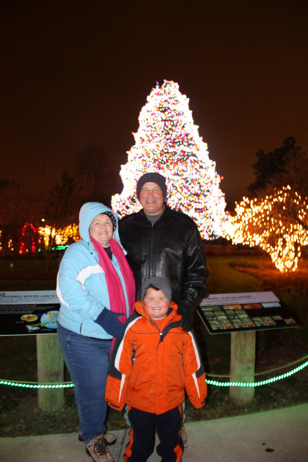 Watch Jonah and Jacoby Grow Lights Before Christmas at the Toledo Zoo