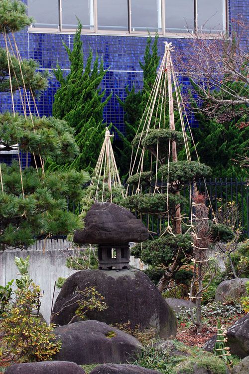 banksy: Bamboo Tree Drawing | Bamboo Sticks Decoration Ideas