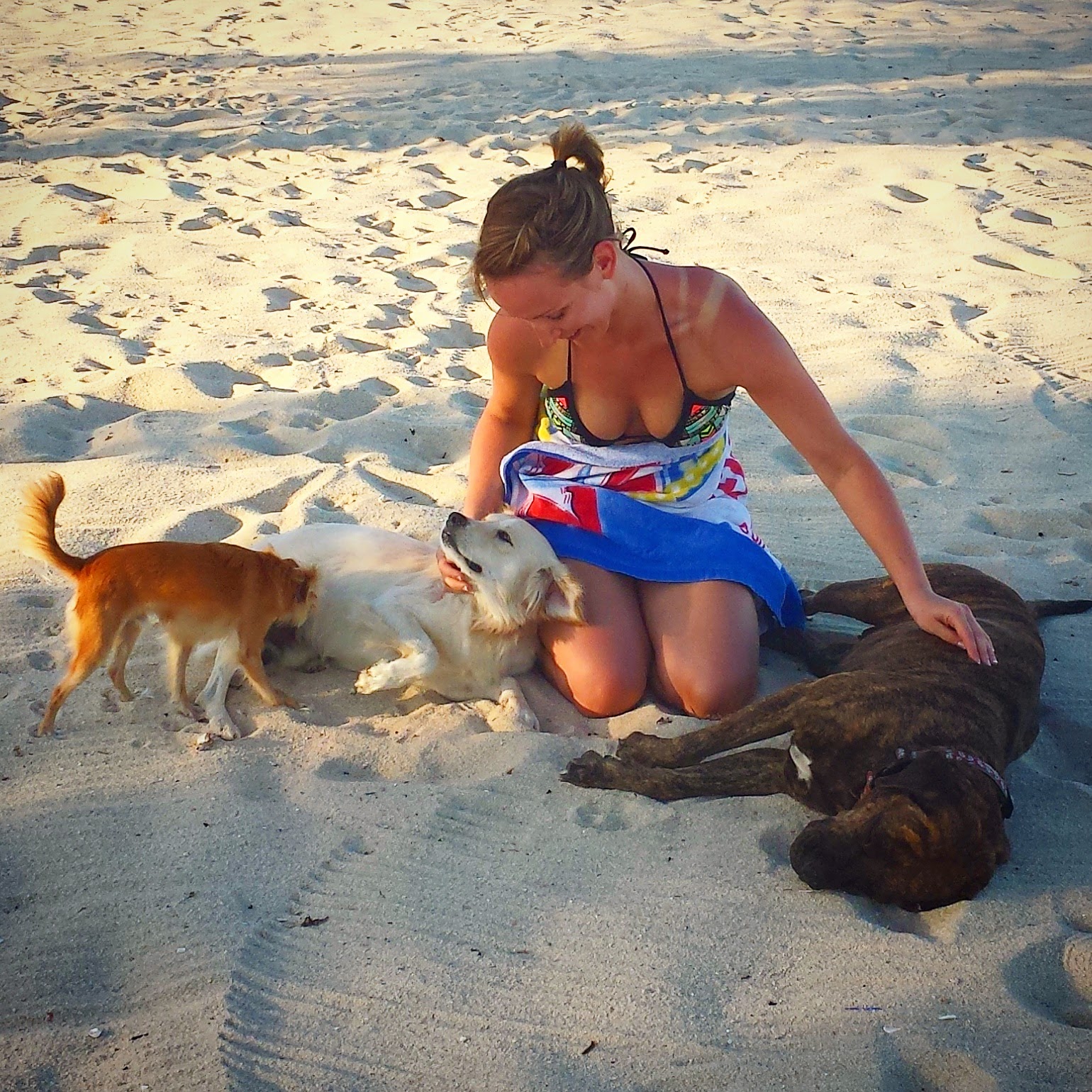 Remax Vip Belize: Beach dogs lick her face.