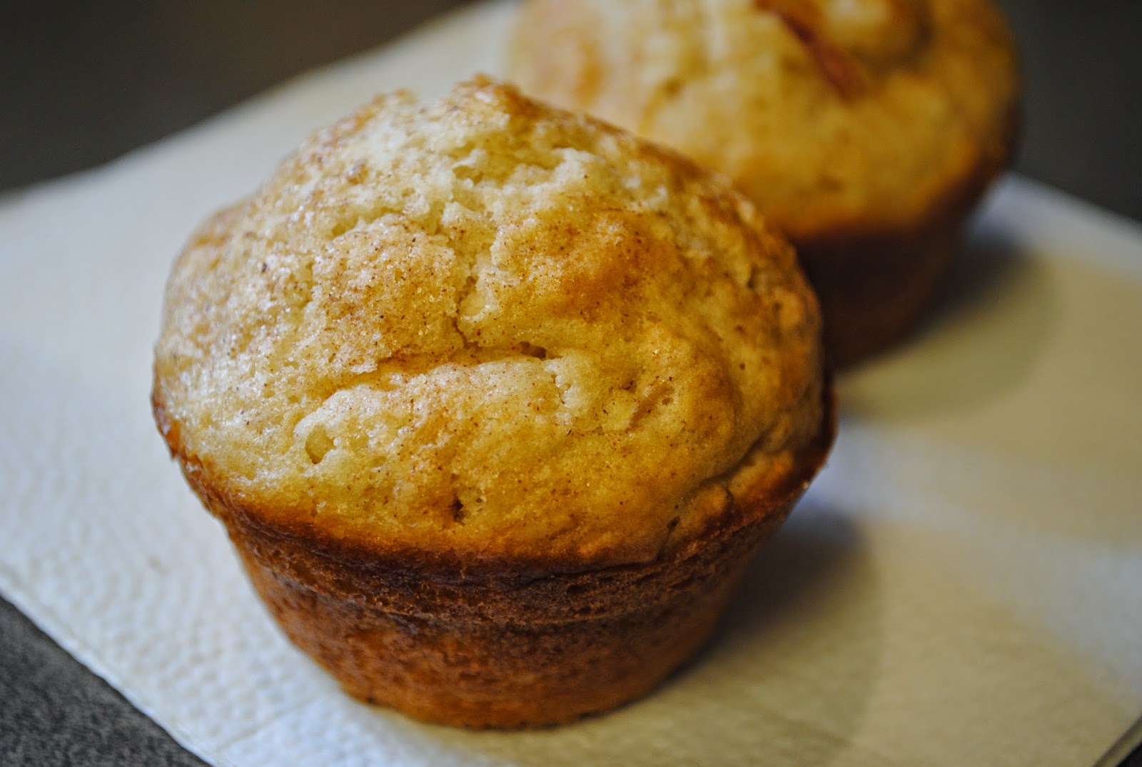Dairy Free "Tried and True" Applesauce Cinnamon Muffins﻿