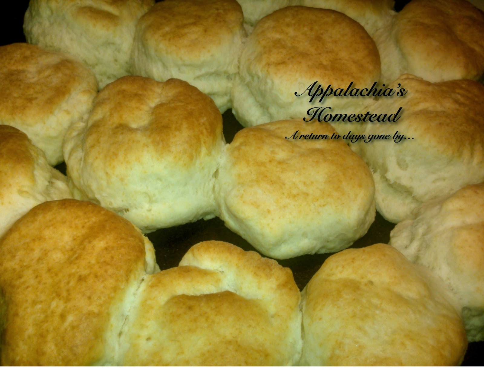 Appalachia's Homestead Recipes