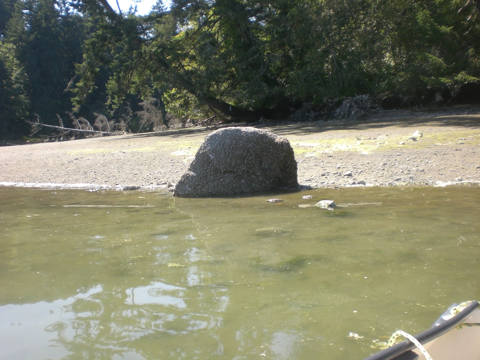 Eld Inlet Tide Chart