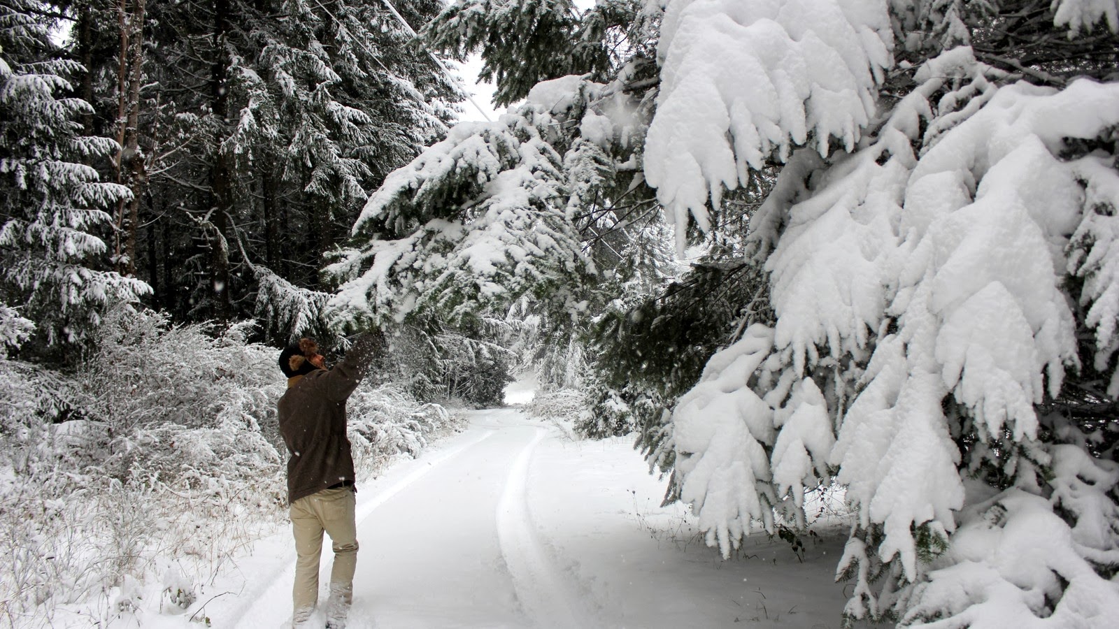 Dream State Our First Snow