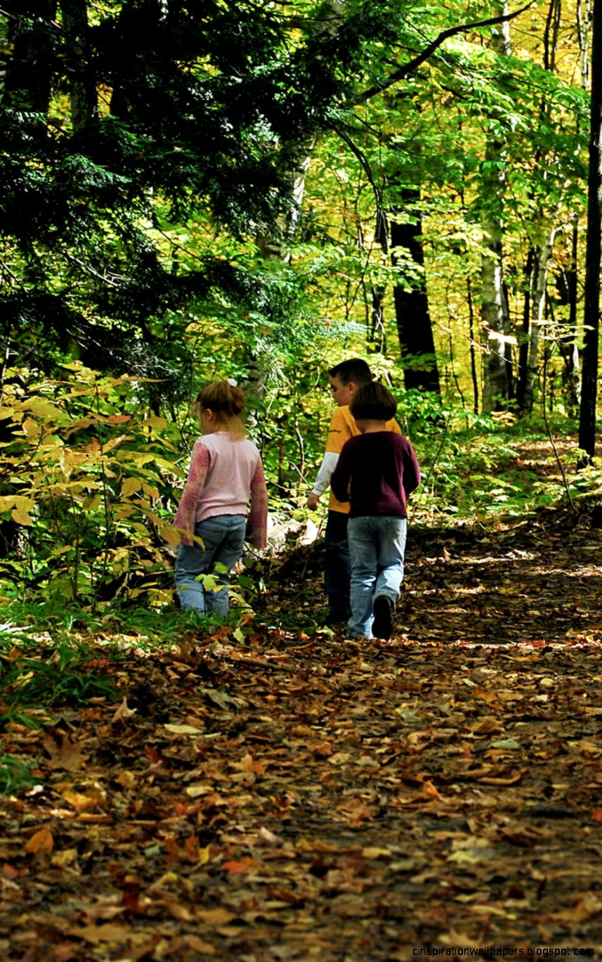 Green Education” – What Nature Can Teach Our Kids Green Education” – What Nature Can Teach Our Kids