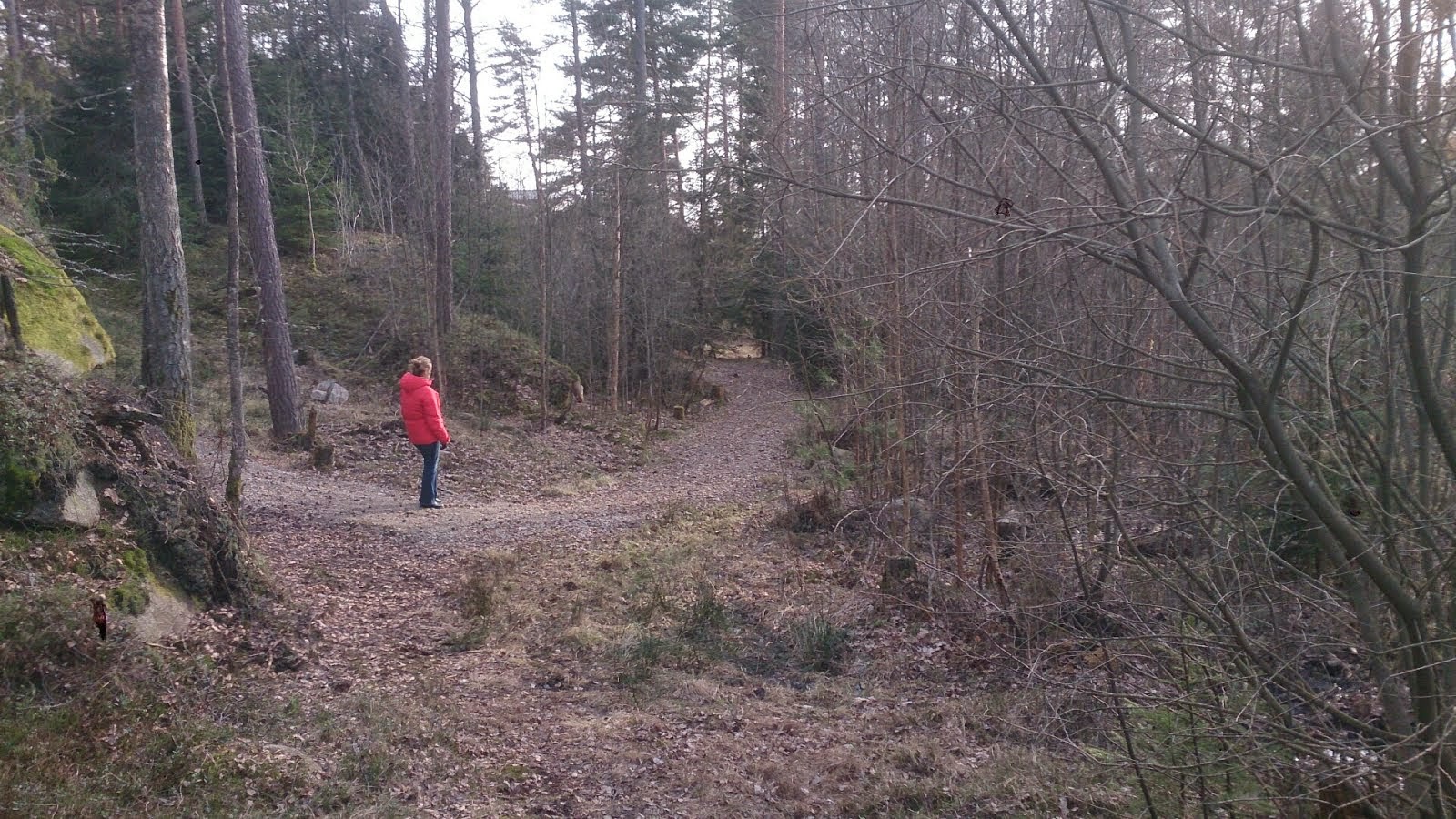 Bare 50 meter gjenstår så kan vi kjøre rundt hytteområdet!