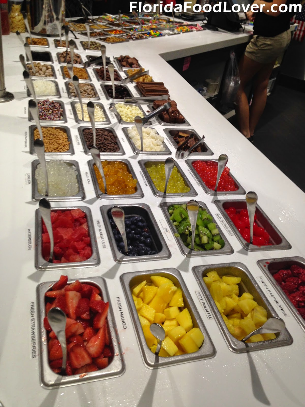 Florida Food Lover Yogurtology Tampa, FL