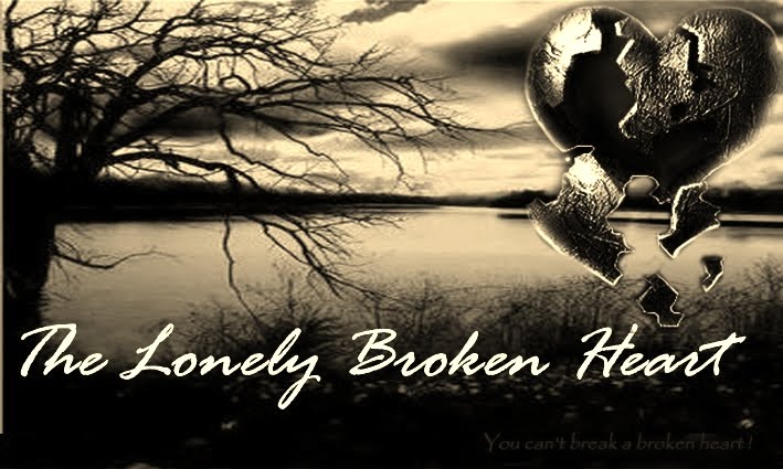 The Lonely Broken Heart