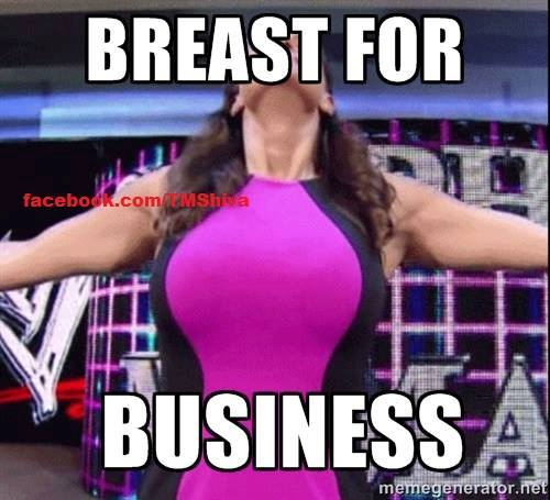 http://www.strengthfighter.com/2014/04/stephanie-mcmahon-breasts-for-business.html