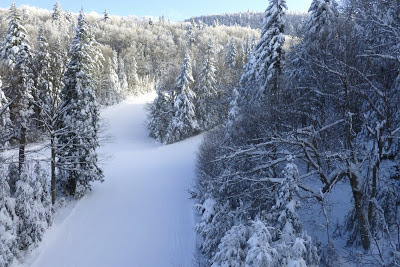 Empty trails on the Dark Side, viewed from the High Peaks chair.  Gore Mountain, January 1, 2013.

The Saratoga Skier and Hiker, first-hand accounts of adventures in the Adirondacks and beyond, and Gore Mountain ski blog.