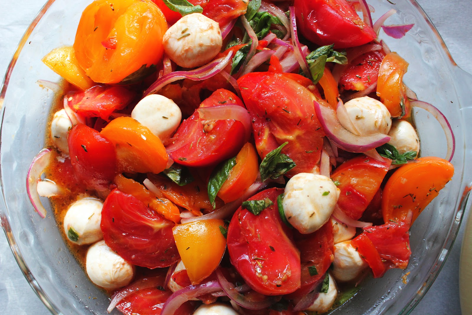 snappy tom tomato snappy tom tomato