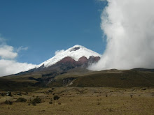 Cotopaxi