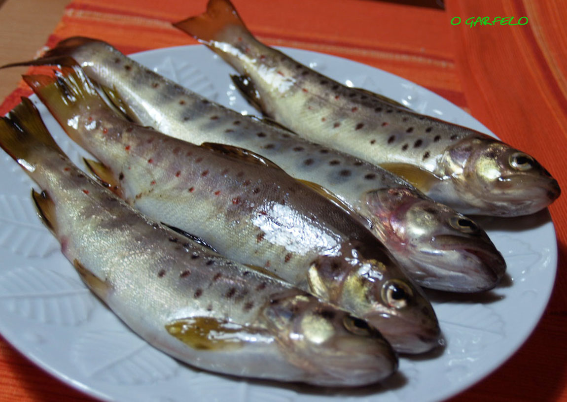 O GARFELO TRUCHAS DE RÍO ADOBADAS