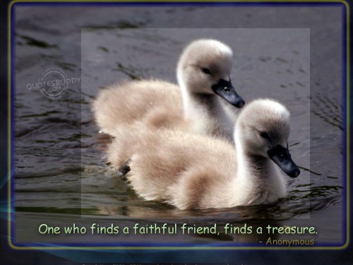 quotes about good friendship. quotes about good friends. want to see the good changes in your life start