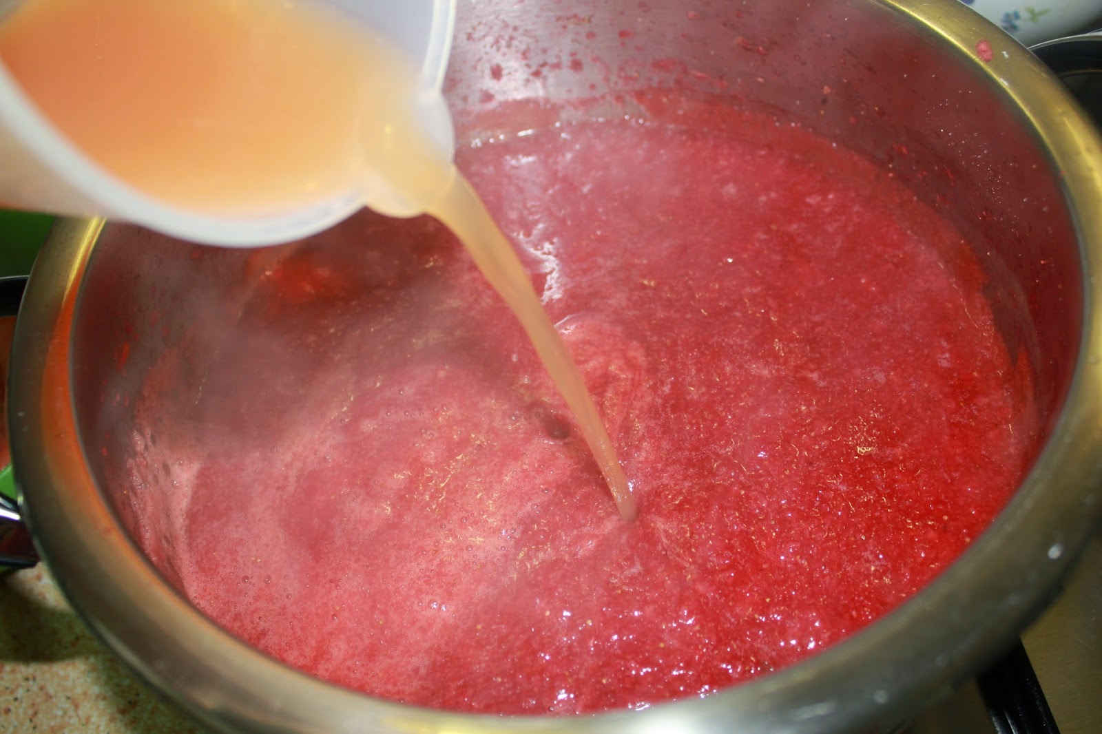 El mundo culinario de Cris Clase magistral de como hacer pectina