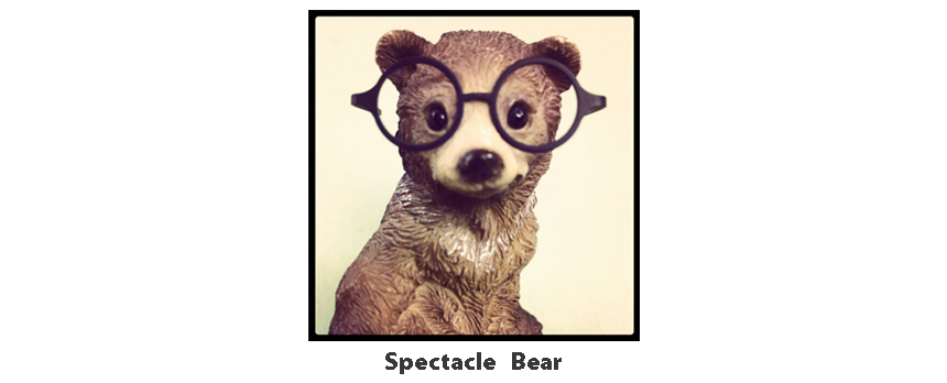 Spectacle Bear