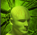 Neurosurgery Blog App ( Android)
