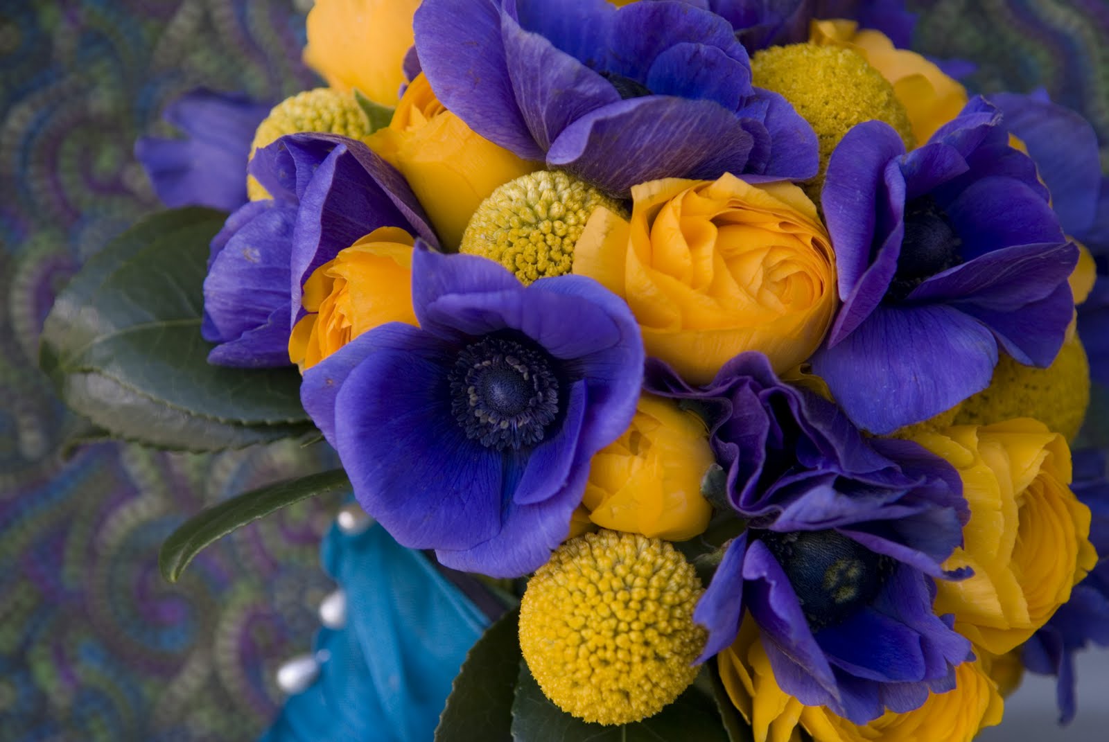 Blue Ranunculus