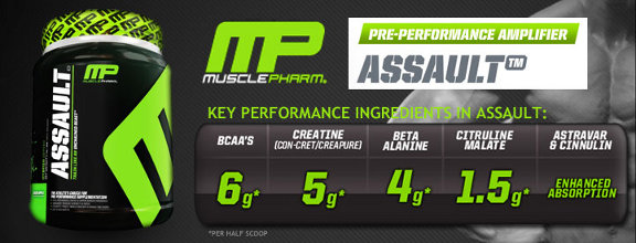3.bp.blogspot.com/-0Ath4d-KUYY/Vo8c-VbwcgI/AAAAAAAAAMk/CalP_8u1CCQ/s1600/MusclePharm-Assault-banner.jpg