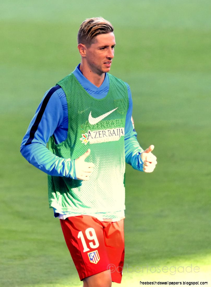 Fernando Torres Wikipedia the free encyclopedia Fernando Torres Wikipedia the free encyclopedia