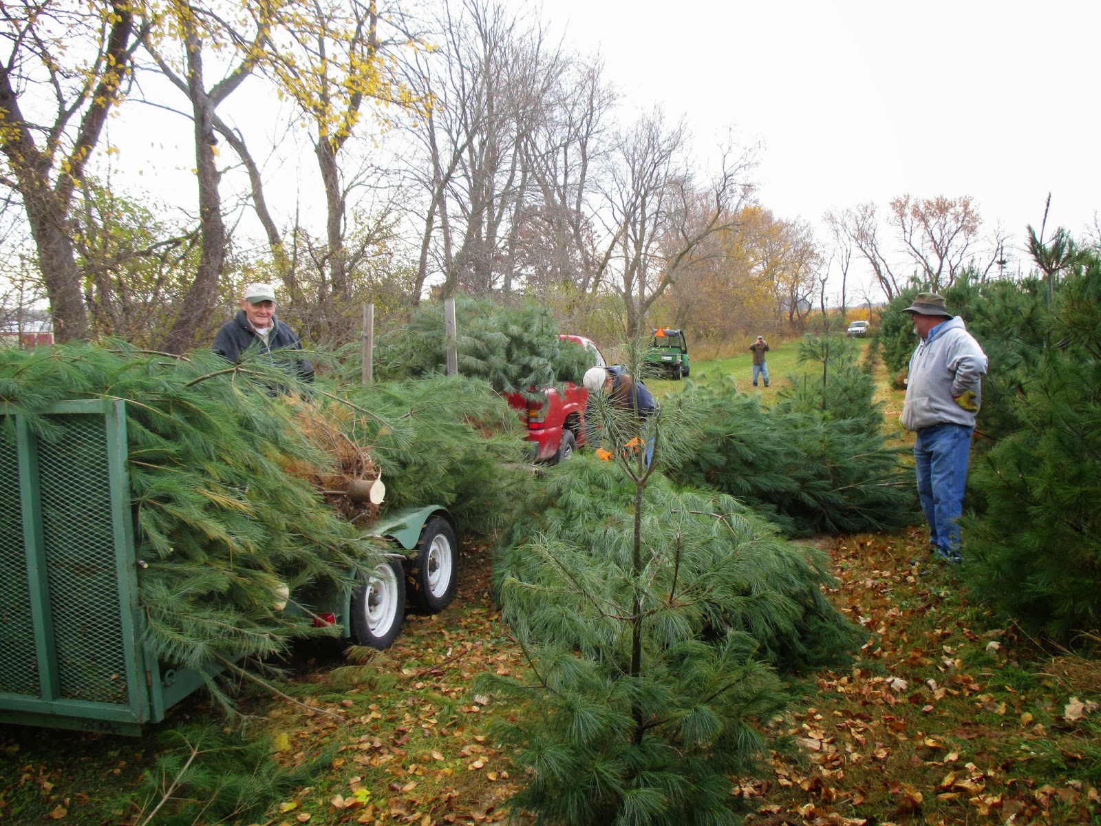 Rotary Botanical Gardens Hort Blog The Annual Tree Run