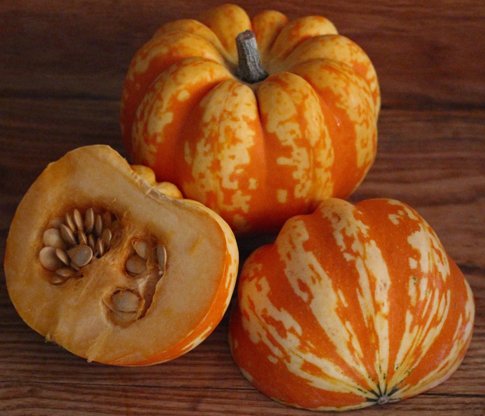 Harmony Valley Farm Winter Squash 101 Everything you need to know!