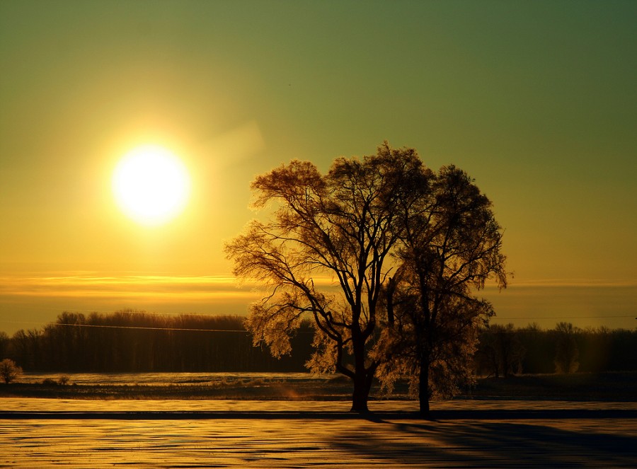 15 beautiful morning sunrise wallpaper The Sunny Side of Life: 55 Fiction Friday - Morning Sunshine