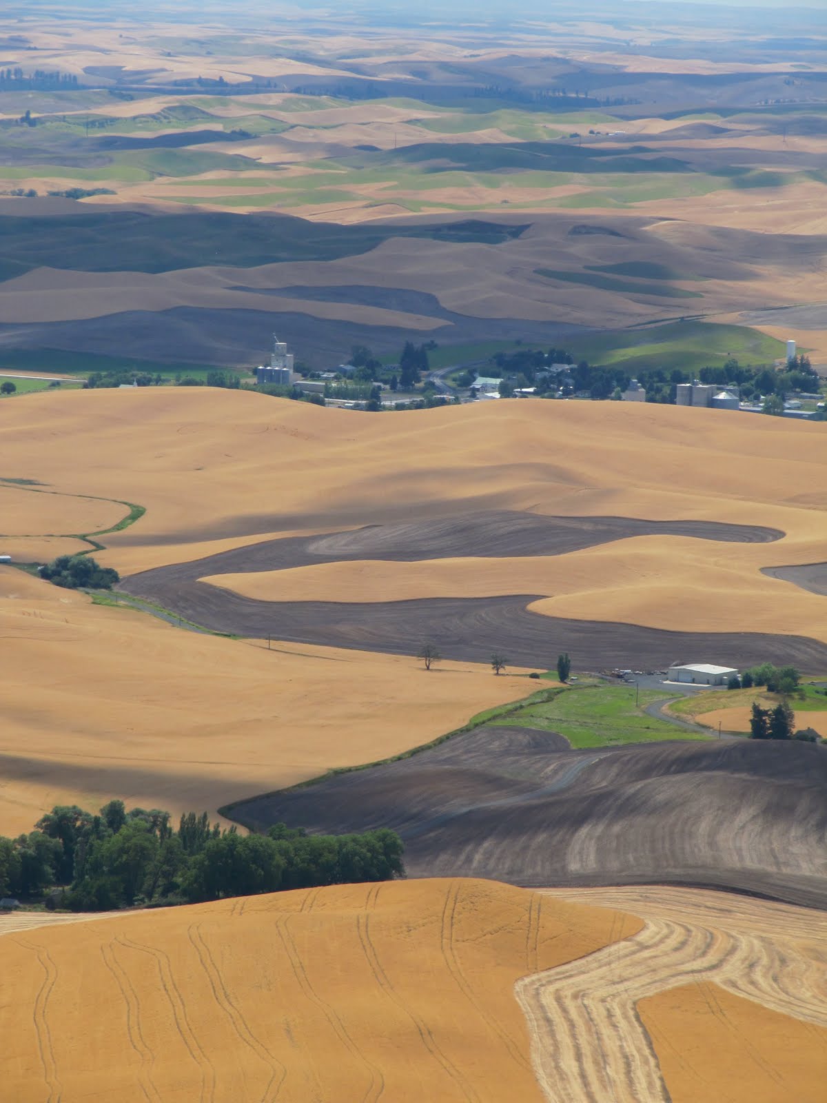 DESTINATIONS NORTHWEST Footloose in the Palouse