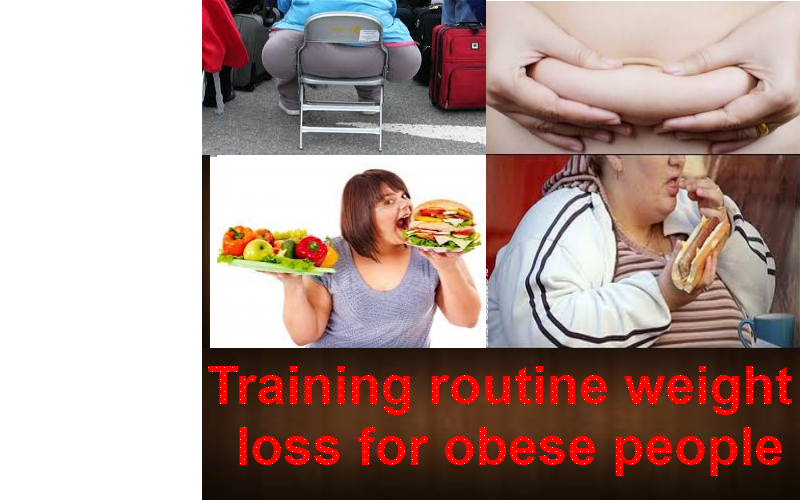 1 Best of whole Training routine weight loss for obese people