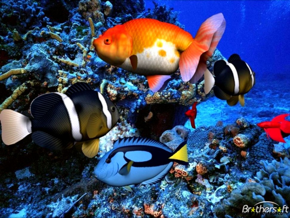 Free 3D Desktop Screensavers Free 3D Desktop Screensavers