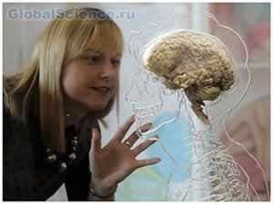 Сознание человеческого организма