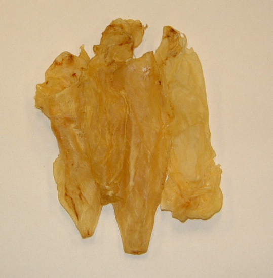 Some Dried Fish Maw Pictures Alfa Enterprises (PVT) Ltd. to