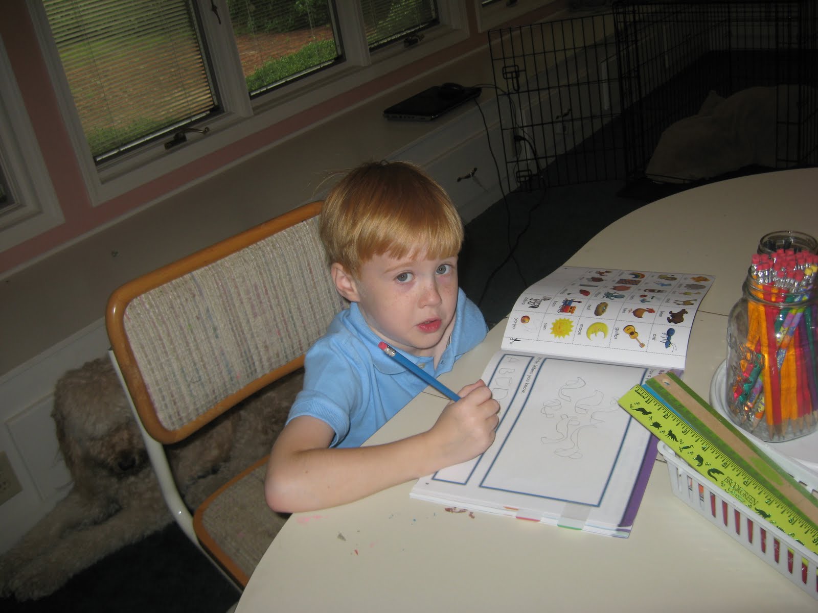 Seven Pillars Academy