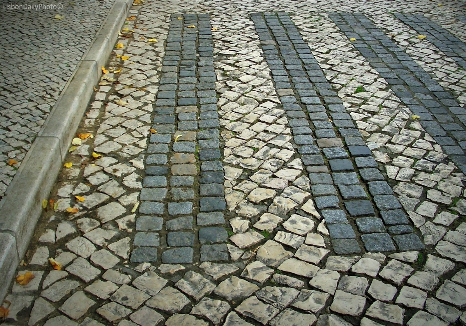 [QUESTION]Drop bars(road) vs riser bars(mountain) r/bicycling