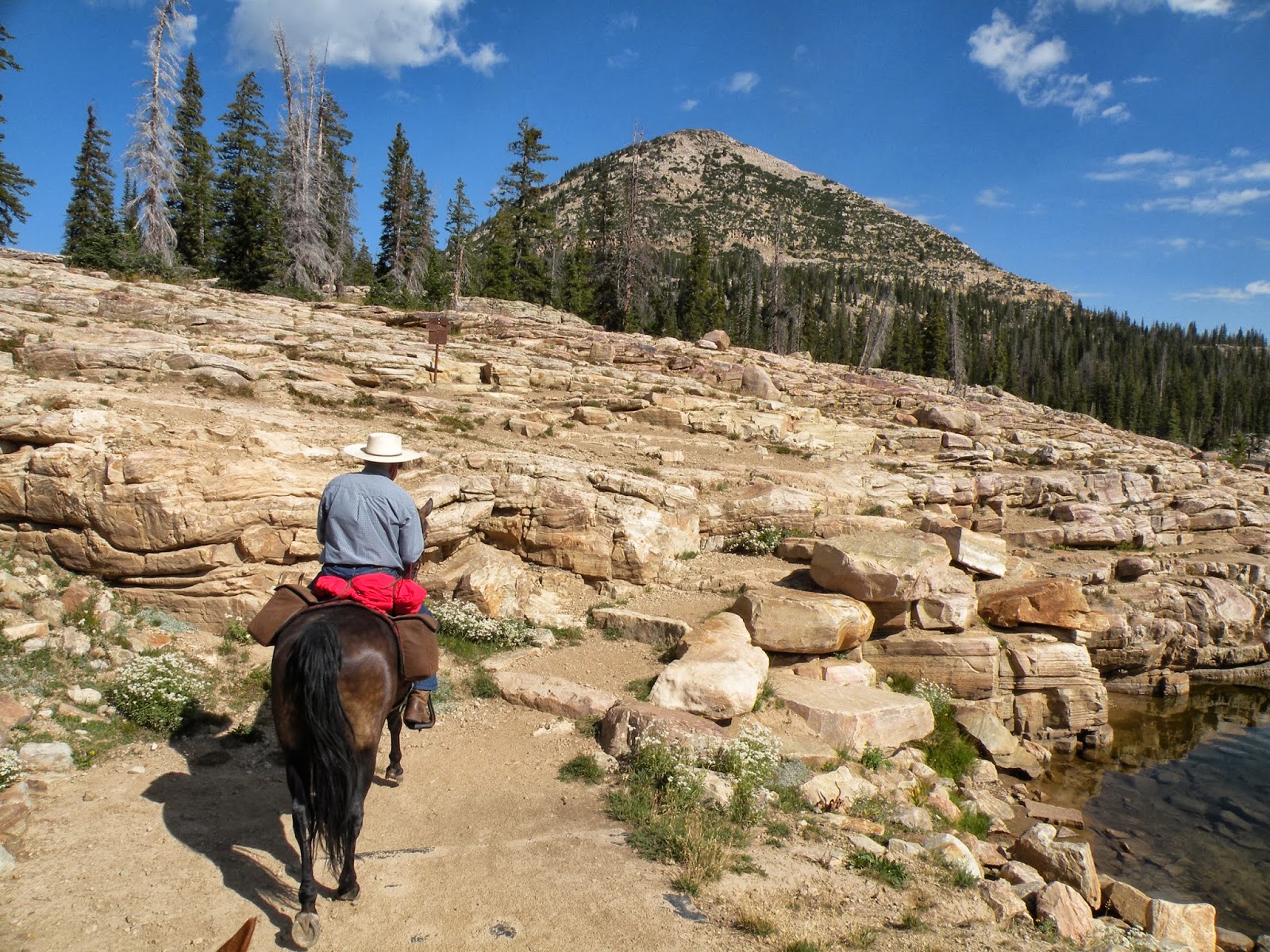 Dream Packer Trail Adventures Crystal Lake Trailhead, Wasatch Cache NF