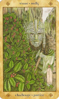 voice tarot notes card