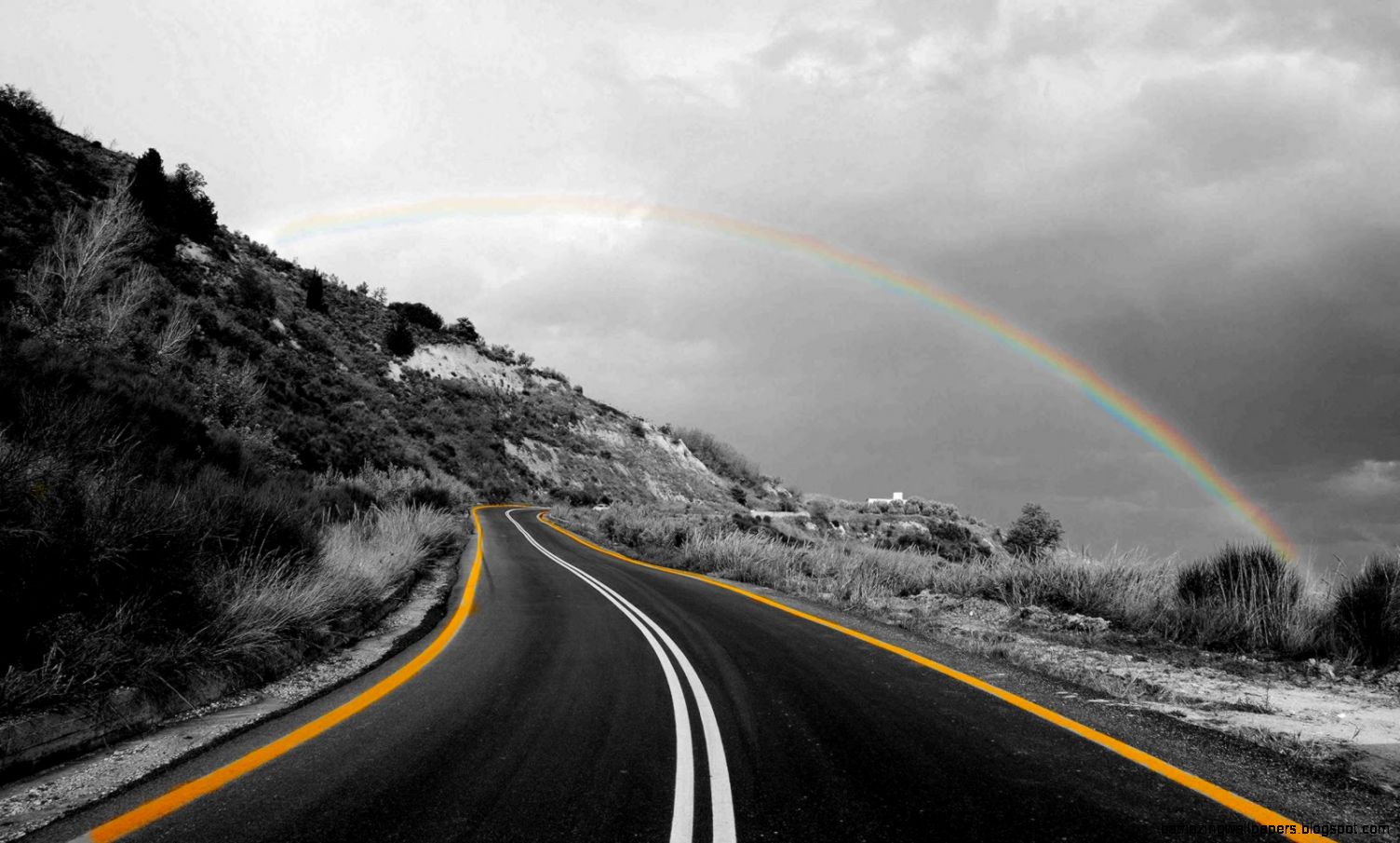 Nature Photography Black And White With Color Nature Photography Black And White With Color