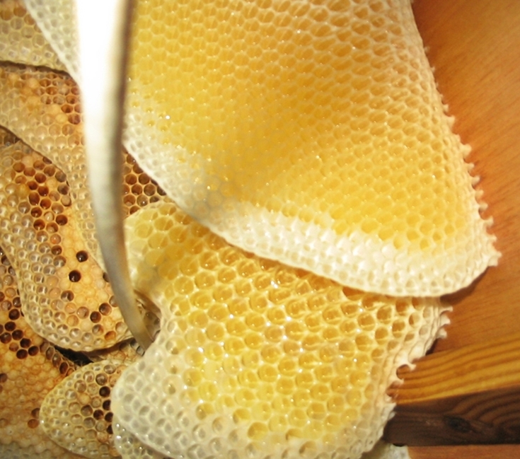 15 Ways to Use (not leftover) Honey sudden lunch! suzy bowler