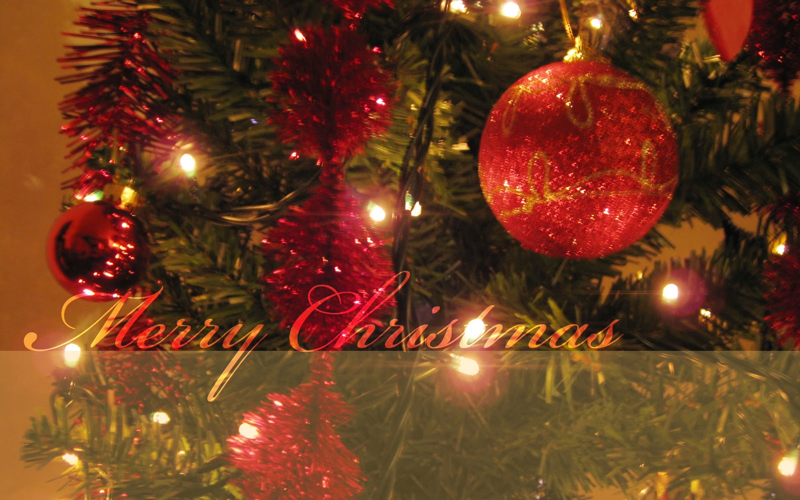 http://3.bp.blogspot.com/-0DnU6IXgYpI/TvXj3JA3SII/AAAAAAAAASk/WUgtqQtVa3g/s1600/christmas+tree+wallpaper.jpg