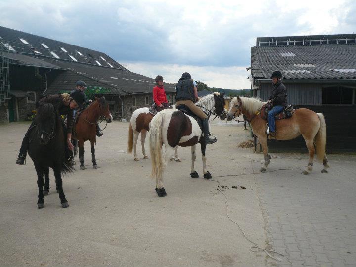 Overhead Cranes Port Cranes Crane Parts Crane Services