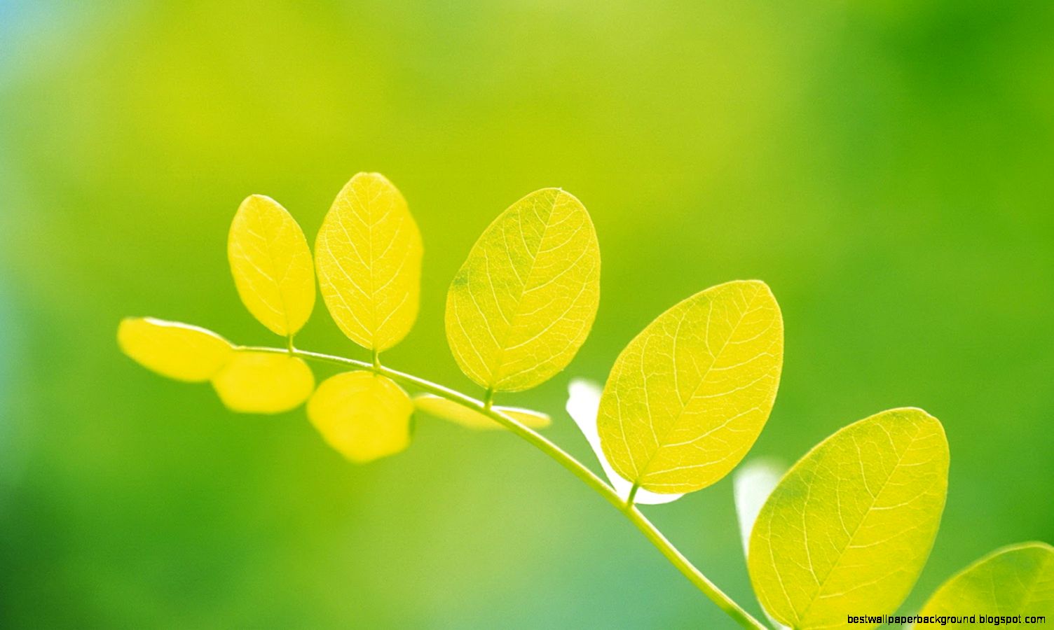 Computer Wallpaper Desktop 7033766 Computer Wallpaper Desktop 7033766