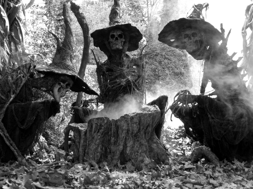 three witches decor pumpkinrot what s brewing 2012 skull witches three witches decor pumpkinrot what s brewing 2012 skull witches