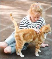 Relations entre les enfants et les animaux: Le lien à l Relations entre les enfants et les animaux: Le lien à l