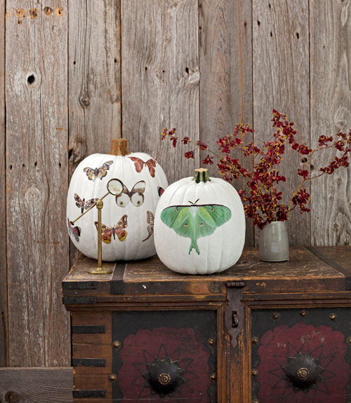 my favorite unique pumpkin decorating ideas decorology my favorite unique pumpkin decorating ideas decorology