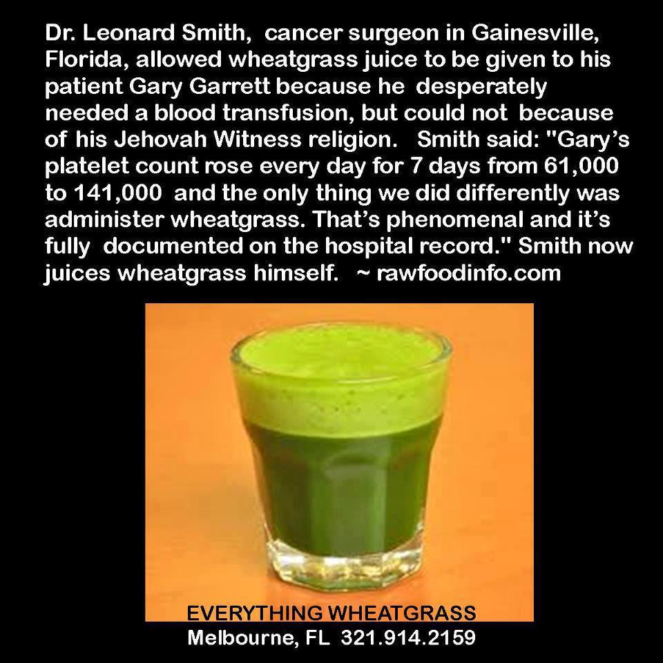 Natural Cures Not Medicine Wheatgrass Juice A Great Natural Cure