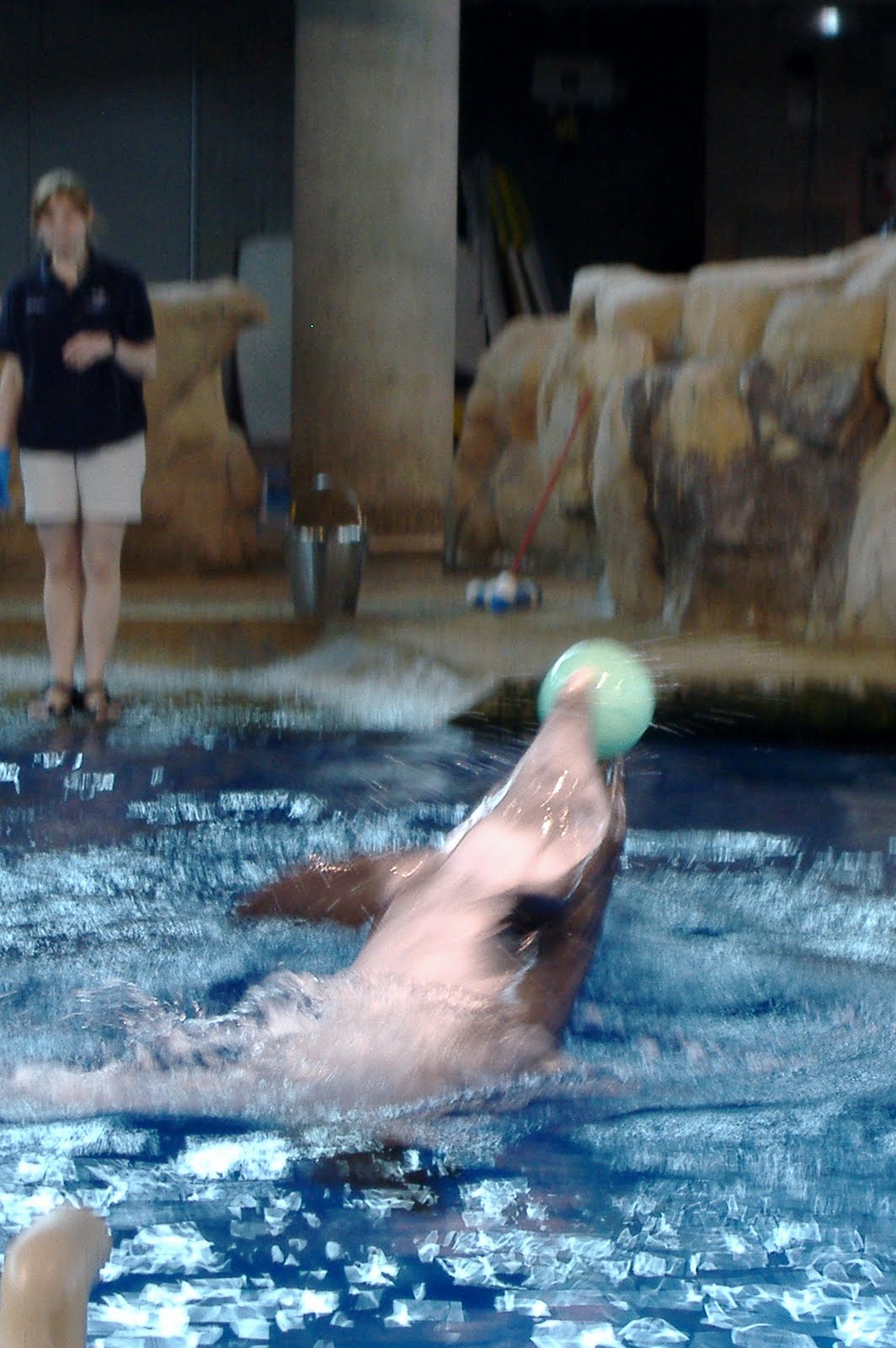 Dino Chronicles The Minnesota Zoo